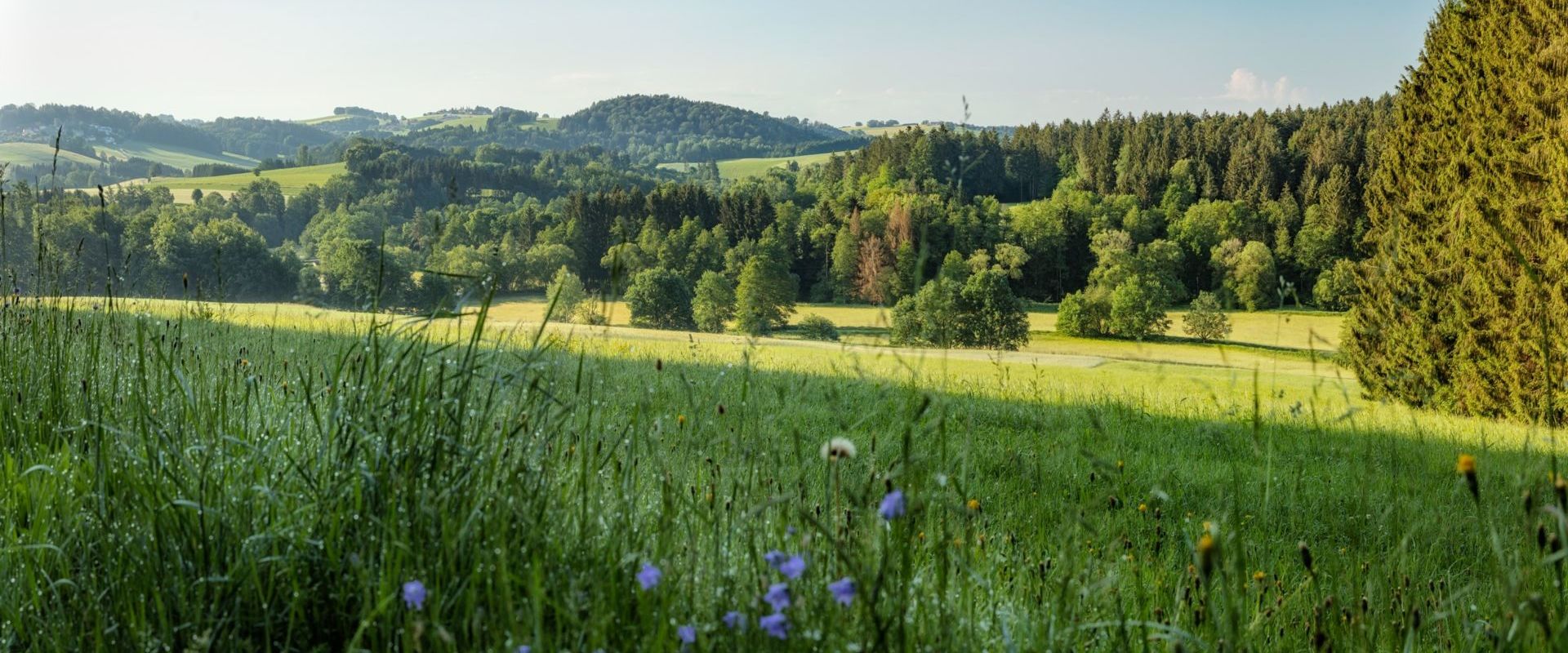 Naturpark Bayerischer Wald Der Naturpark Bayerischer Wald