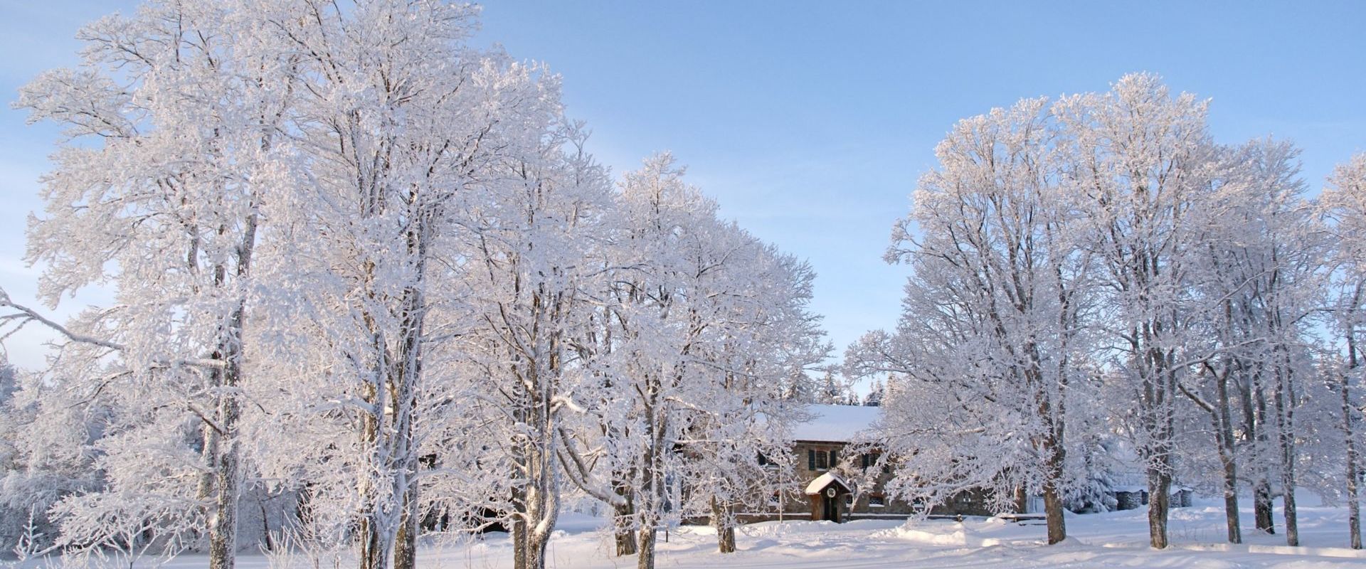 Winter im Naturpark Bayerischer Wald. Bildautor. Franz Xaver Six.