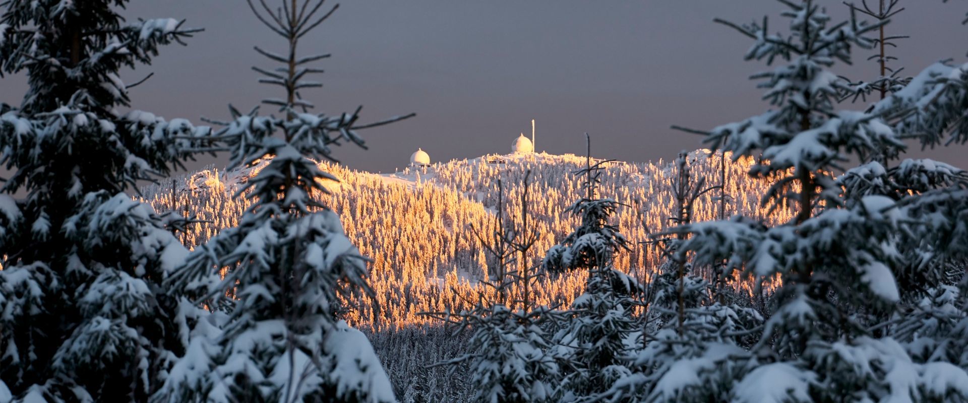 Großer Arber im winterlichen Abendlicht. Bildautor Woidlife Photography