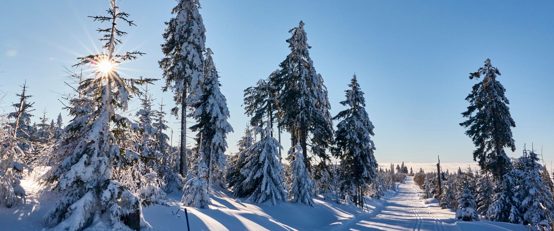 Langlaufparadies im Naturpark Bayerischer Wald. Bildautor Woidlife Photography