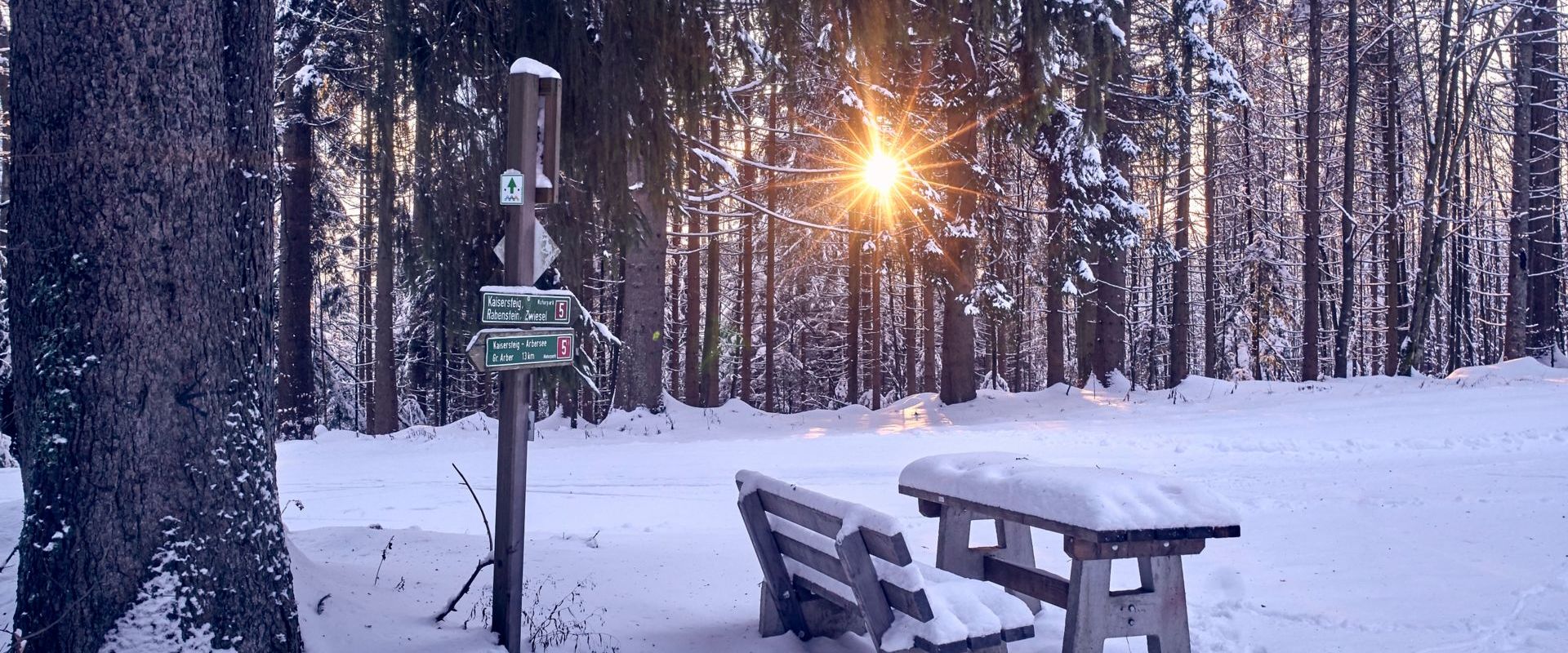 Naturpark Bayerischer Wald - Der Naturpark Bayerischer Wald